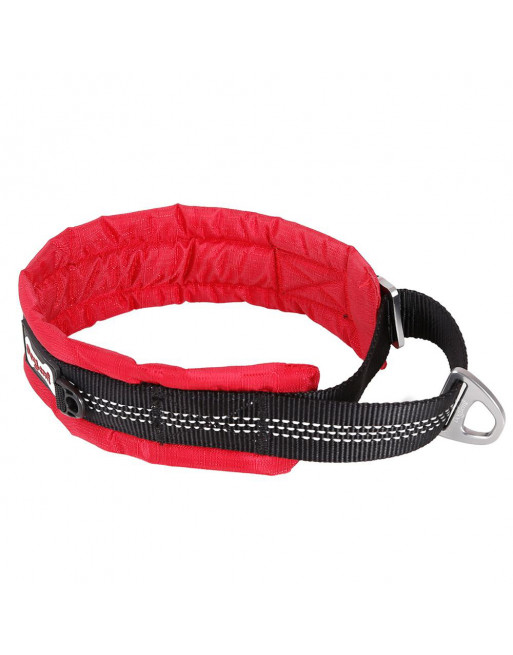 Grootte afgunst ze Comfortabele reflecterende halsband voor honden - XL - ROOD