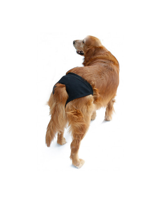 Hondenbroekje - luier voor teef - loopsheid - ongesteldheid - wasbaar - EXTRA SMALL - ZWART