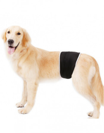 man vredig onbetaald Honden buikband - luier voor mannelijke hond reu - EXTRA SMALL - BLACK