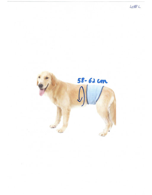 subtiel Regulatie tragedie Honden buikband - luier voor mannelijke hond reu - LARGE - BLUE